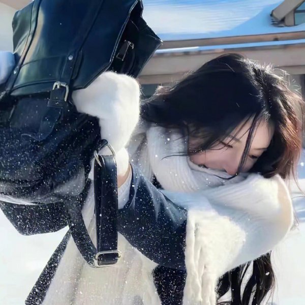 罪犯联盟第二季